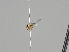  ( - KWi-1231)  @11 [ ] CreativeCommons - Attribution Non-Commercial (2018) Marko Mutanen University of Oulu