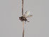  ( - KWi-1235)  @11 [ ] CreativeCommons - Attribution Non-Commercial (2018) Marko Mutanen University of Oulu