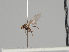  ( - KWi-1249)  @11 [ ] CreativeCommons - Attribution Non-Commercial (2018) Marko Mutanen University of Oulu