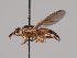  ( - KWi-1379)  @11 [ ] CreativeCommons - Attribution Non-Commercial (2018) Marko Mutanen University of Oulu