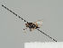  ( - KWi-1432)  @11 [ ] CreativeCommons - Attribution Non-Commercial (2018) Marko Mutanen University of Oulu
