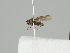  ( - KWi-1436)  @11 [ ] CreativeCommons - Attribution Non-Commercial (2018) Marko Mutanen University of Oulu