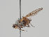  ( - KWi-1457)  @11 [ ] CreativeCommons - Attribution Non-Commercial (2018) Marko Mutanen University of Oulu