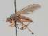  ( - KWi-1458)  @11 [ ] CreativeCommons - Attribution Non-Commercial (2018) Marko Mutanen University of Oulu