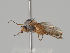  ( - KWi-1462)  @11 [ ] CreativeCommons - Attribution Non-Commercial (2018) Marko Mutanen University of Oulu