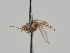  ( - KWi-1465)  @11 [ ] CreativeCommons - Attribution Non-Commercial (2018) Marko Mutanen University of Oulu