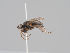  ( - KWi-1480)  @11 [ ] CreativeCommons - Attribution Non-Commercial (2018) Marko Mutanen University of Oulu