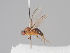  ( - KWi-1556)  @11 [ ] CreativeCommons - Attribution Non-Commercial (2018) Marko Mutanen University of Oulu