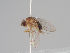  ( - KWi-1557)  @11 [ ] CreativeCommons - Attribution Non-Commercial (2018) Marko Mutanen University of Oulu