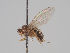  ( - KWi-1558)  @11 [ ] CreativeCommons - Attribution Non-Commercial (2018) Marko Mutanen University of Oulu