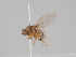  ( - KWi-1561)  @11 [ ] CreativeCommons - Attribution Non-Commercial (2018) Marko Mutanen University of Oulu
