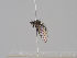  ( - KWi-1569)  @11 [ ] CreativeCommons - Attribution Non-Commercial (2018) Marko Mutanen University of Oulu
