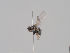  ( - KWi-1573)  @11 [ ] CreativeCommons - Attribution Non-Commercial (2018) Marko Mutanen University of Oulu