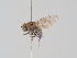 ( - KWi-1603)  @11 [ ] CreativeCommons - Attribution Non-Commercial (2018) Marko Mutanen University of Oulu
