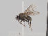 ( - KWi-1604)  @11 [ ] CreativeCommons - Attribution Non-Commercial (2018) Marko Mutanen University of Oulu