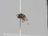  ( - KWi-1610)  @11 [ ] CreativeCommons - Attribution Non-Commercial (2018) Marko Mutanen University of Oulu