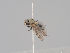  ( - KWi-1616)  @11 [ ] CreativeCommons - Attribution Non-Commercial (2018) Marko Mutanen University of Oulu