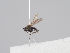  ( - KWi-1618)  @11 [ ] CreativeCommons - Attribution Non-Commercial (2018) Marko Mutanen University of Oulu