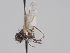  ( - KWi-1625)  @11 [ ] CreativeCommons - Attribution Non-Commercial (2018) Marko Mutanen University of Oulu