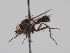  ( - KWi-1641)  @11 [ ] CreativeCommons - Attribution Non-Commercial (2018) Marko Mutanen University of Oulu