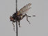  ( - KWi-1644)  @11 [ ] CreativeCommons - Attribution Non-Commercial (2018) Marko Mutanen University of Oulu