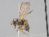  ( - KWi-1667)  @11 [ ] CreativeCommons - Attribution Non-Commercial (2018) Marko Mutanen University of Oulu