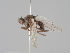 ( - KWi-1677)  @11 [ ] CreativeCommons - Attribution Non-Commercial (2018) Marko Mutanen University of Oulu