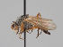  ( - KWi-1684)  @11 [ ] CreativeCommons - Attribution Non-Commercial (2018) Marko Mutanen University of Oulu