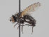  ( - KWi-1690)  @11 [ ] CreativeCommons - Attribution Non-Commercial (2018) Marko Mutanen University of Oulu
