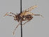  ( - KWi-1691)  @11 [ ] CreativeCommons - Attribution Non-Commercial (2018) Marko Mutanen University of Oulu