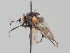  ( - KWi-1692)  @11 [ ] CreativeCommons - Attribution Non-Commercial (2018) Marko Mutanen University of Oulu