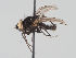  ( - KWi-1721)  @11 [ ] CreativeCommons - Attribution Non-Commercial (2018) Marko Mutanen University of Oulu