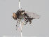  ( - KWi-1731)  @11 [ ] CreativeCommons - Attribution Non-Commercial (2018) Marko Mutanen University of Oulu