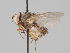  ( - KWi-1735)  @11 [ ] CreativeCommons - Attribution Non-Commercial (2018) Marko Mutanen University of Oulu
