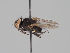  ( - KWi-1742)  @11 [ ] by-nc (2018) Marko Mutanen University of Oulu