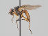  ( - KWi-1774)  @11 [ ] by-nc (2018) Marko Mutanen University of Oulu