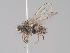  ( - KWi-1795)  @11 [ ] by-nc (2018) Marko Mutanen University of Oulu