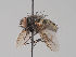  ( - KWi-1840)  @11 [ ] by-nc (2018) Marko Mutanen University of Oulu