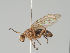  ( - KWi-1887)  @11 [ ] by-nc (2018) Marko Mutanen University of Oulu