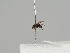  ( - KWi-401)  @11 [ ] CreativeCommons - Attribution Non-Commercial (2018) Marko Mutanen University of Oulu