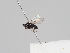 ( - KWi-406)  @11 [ ] CreativeCommons - Attribution Non-Commercial (2018) Marko Mutanen University of Oulu