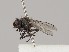  ( - KWi-409)  @12 [ ] CreativeCommons - Attribution Non-Commercial (2018) Marko Mutanen University of Oulu