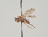  ( - KWi-417)  @11 [ ] CreativeCommons - Attribution Non-Commercial (2018) Marko Mutanen University of Oulu
