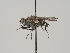  ( - KWi-433)  @13 [ ] CreativeCommons - Attribution Non-Commercial (2018) Marko Mutanen University of Oulu