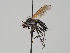  ( - KWi-445)  @11 [ ] CreativeCommons - Attribution Non-Commercial (2018) Marko Mutanen University of Oulu
