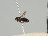  ( - KWi-446)  @11 [ ] CreativeCommons - Attribution Non-Commercial (2018) Marko Mutanen University of Oulu