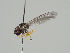  ( - KWi-457)  @11 [ ] CreativeCommons - Attribution Non-Commercial (2018) Marko Mutanen University of Oulu
