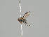  ( - KWi-458)  @11 [ ] CreativeCommons - Attribution Non-Commercial (2018) Marko Mutanen University of Oulu