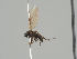  ( - KWi-462)  @11 [ ] CreativeCommons - Attribution Non-Commercial (2018) Marko Mutanen University of Oulu
