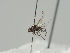  ( - KWi-479)  @11 [ ] CreativeCommons - Attribution Non-Commercial (2018) Marko Mutanen University of Oulu